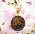 Load image into Gallery viewer, Argentina Coin Necklace
